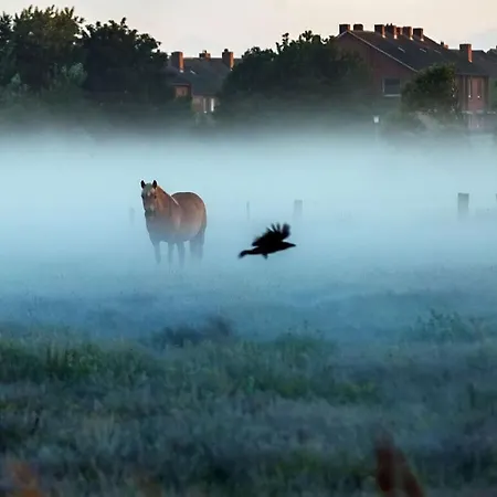 Casa de Férias North Modern Retreat