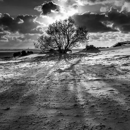 North Modern Retreat Casa de Férias *